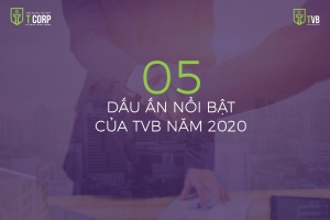 05 DẤU ẤN NỔI BẬT CỦA TVB NĂM 2020